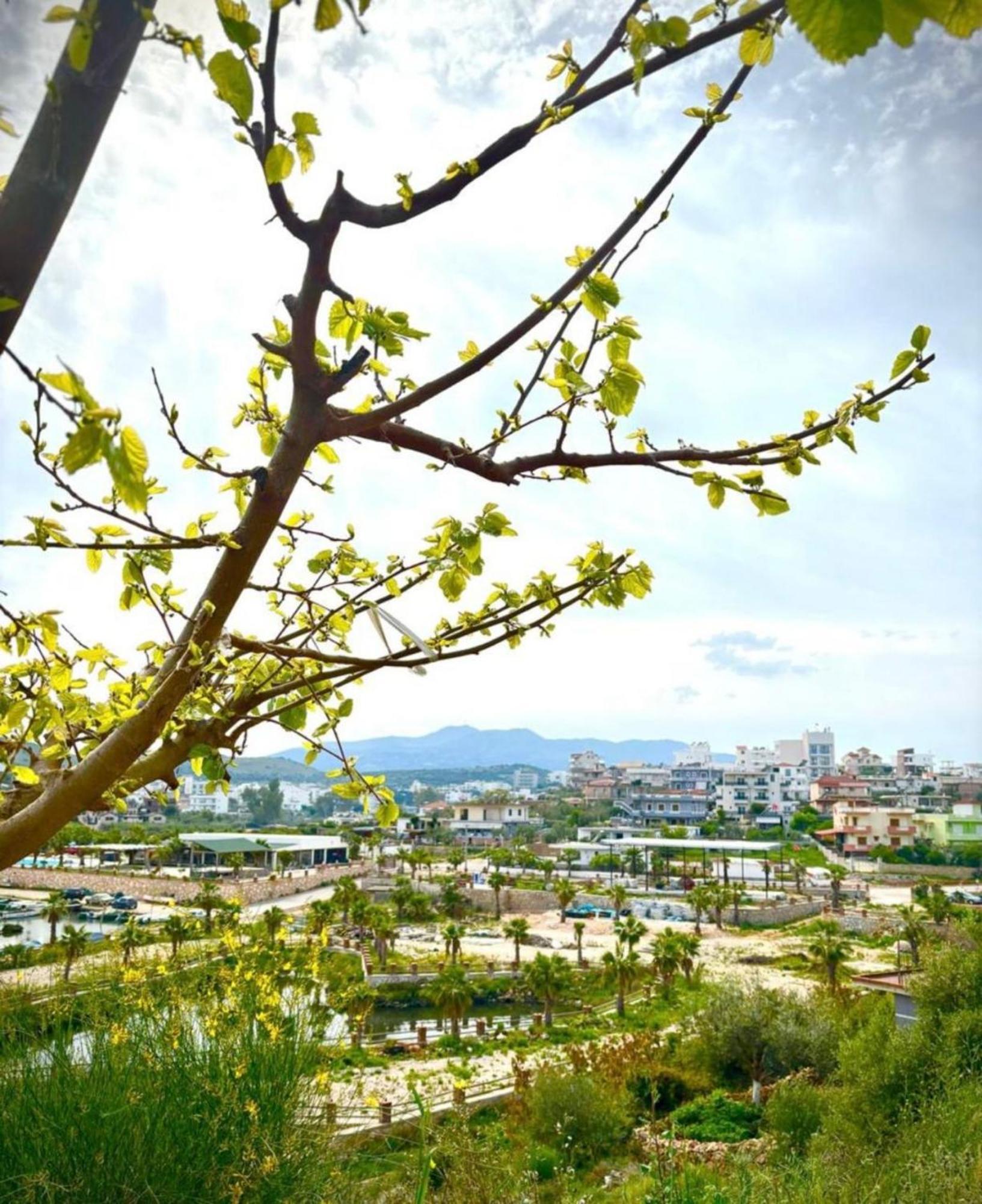 Vila Flavin 2 Ksamil Bagian luar foto